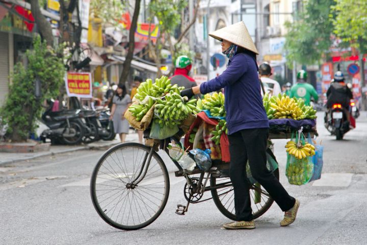 An In-Depth Look Into Vietnam