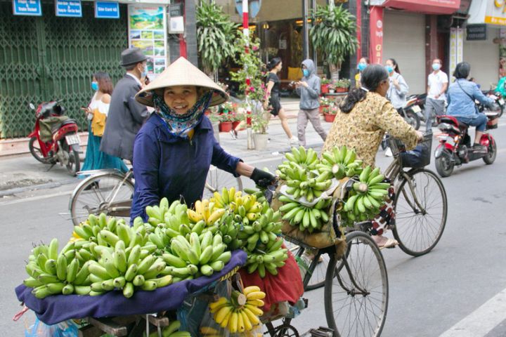 Jewel Of North Vietnam