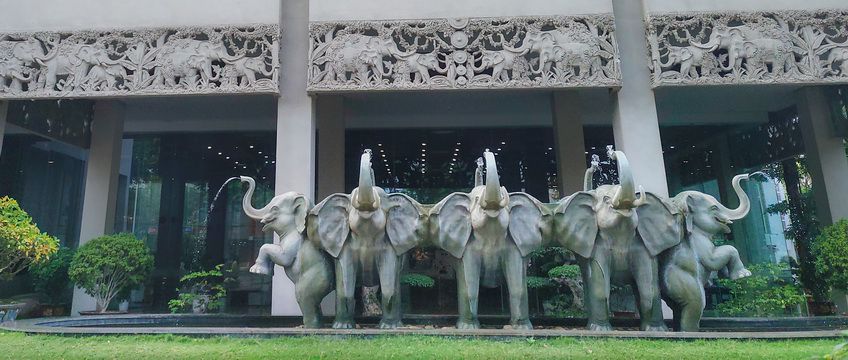 Elephants Hotel