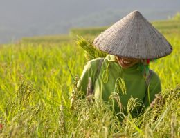 Review Jewel Tours services