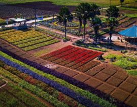 Khai Trung Green Plateau