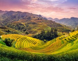 Muong Hoa Valley