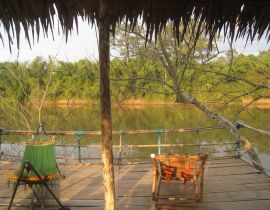 Bamboo Green Lodge