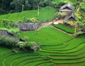 Ma Tra Village