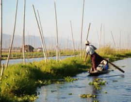 Floating Gardens