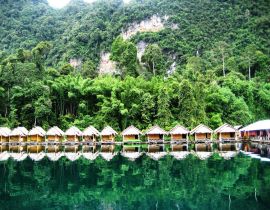 Khao Sok National Park 