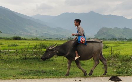 Explore North Peak Of Vietnam