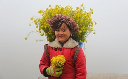 Northern Vietnam Adventure