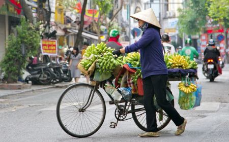 An In-Depth Look Into Vietnam