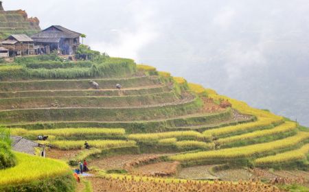 North Peak Of Vietnam Discovery