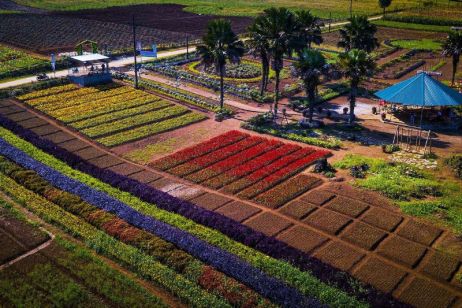 Khai Trung Green Plateau