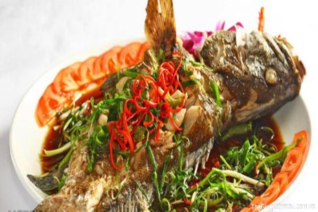 Grouper Fish – Ca Song Cat Ba