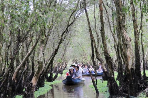 Tra Su Cajuput Forest 
