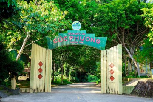 Cuc Phuong National Park