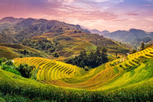 Muong Hoa Valley
