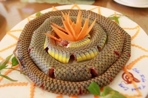 Sea Snake – Ran Bien Cat Ba
