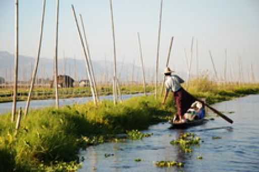 Floating Gardens