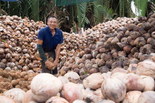 Go Cong - Majestic of Mekong Journey