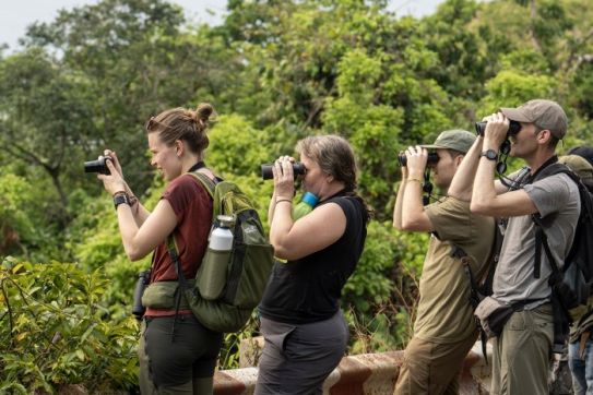 Good quality tourism products needed to explore Son Tra nature