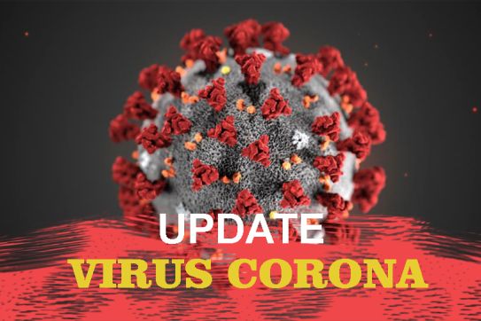 Corona Virus Desease (COVID-19), advice travel to Vietnam for yours safety