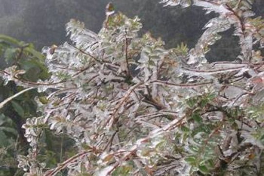 Northern on coldest days of early winter