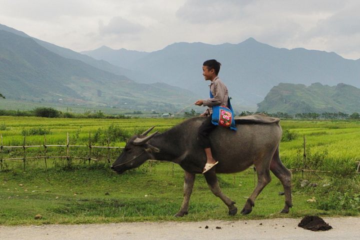 Explore North Peak Of Vietnam