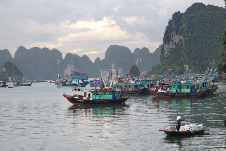 Hanoi - Halong Bay - Godlen Bridge - Cuchi Tunnels - Mekong Delta