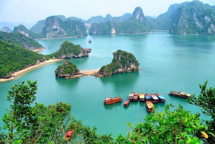 Travel to Halong bay