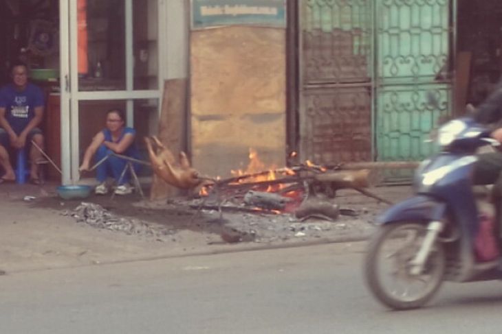 Living in Vietnam as a European