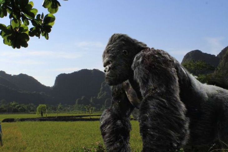 King Kong goes Vietnam