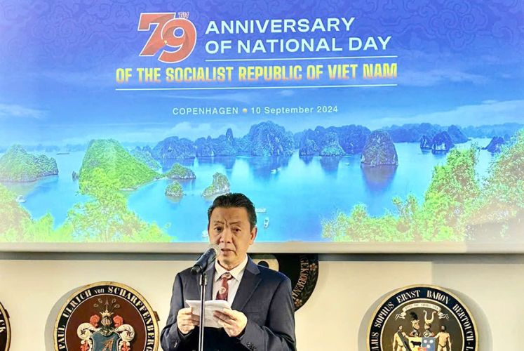 Culture and art, The connection of Vietnam and Denmark