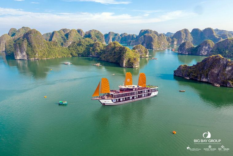 Peony Cruise