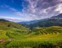 Season of Rice Terrace in North Vietnam