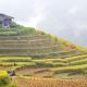 North Peak Of Vietnam Discovery