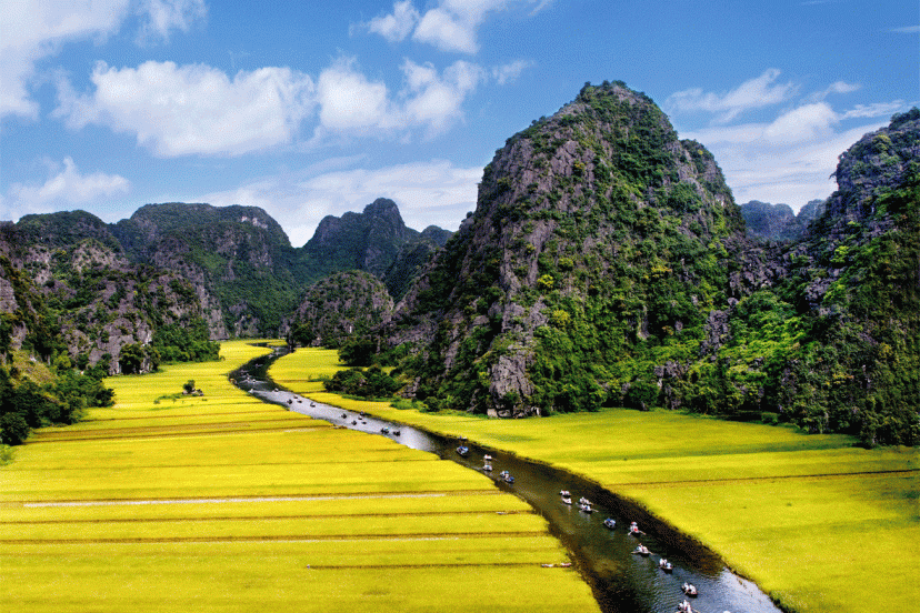 Trip to Ninh Binh Trip to Ninh Binh