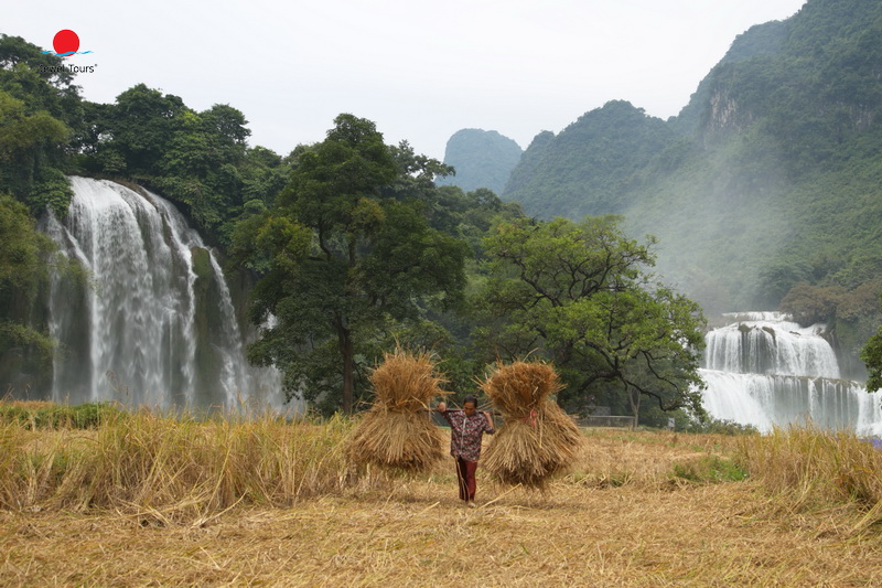 Farmer at Ban Gioc water fall