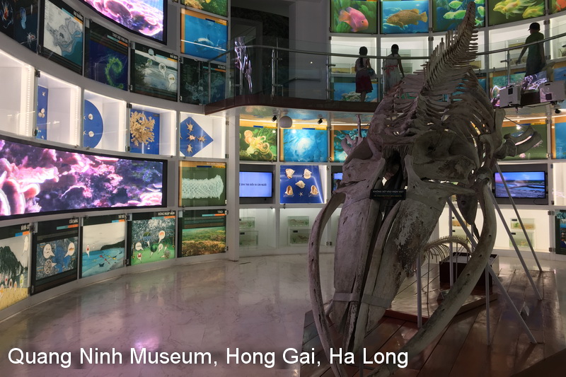 Quang Ninh Museum, Vietnam